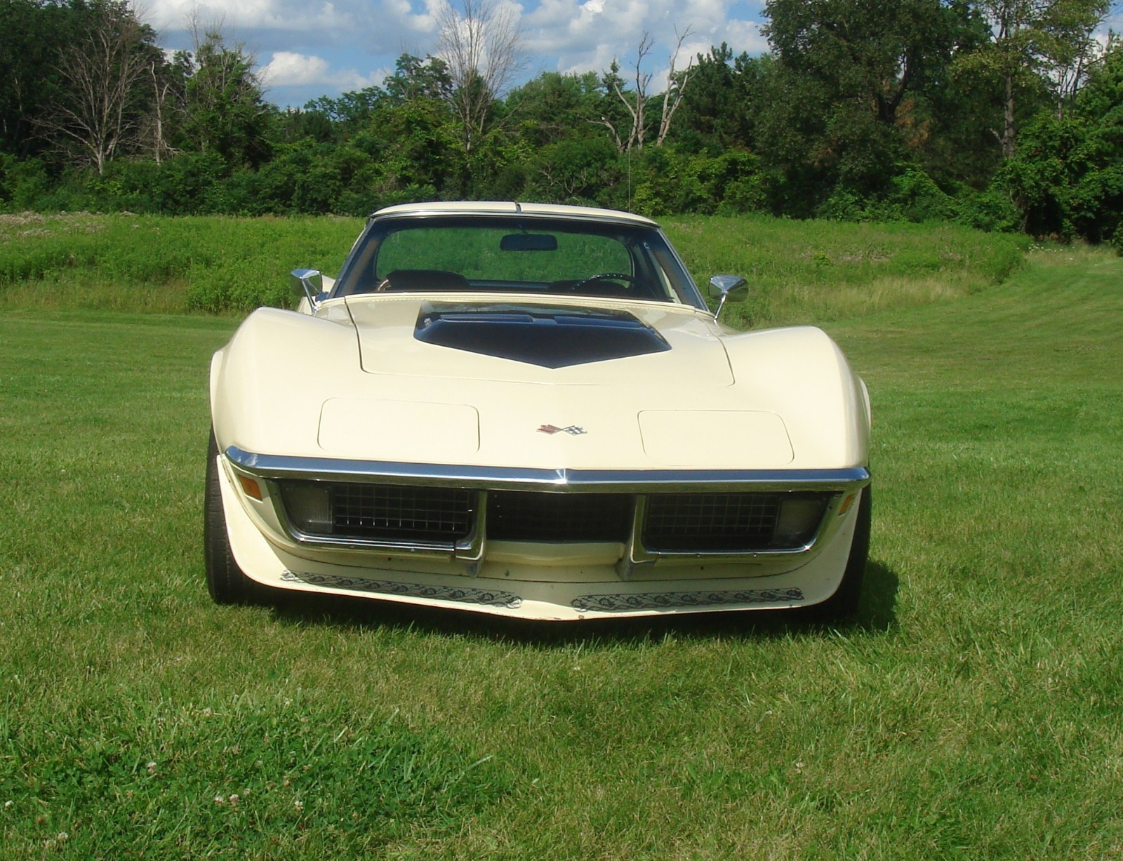 1971 Beige Chevrolet Corvette   | C3 Corvette Photo 4