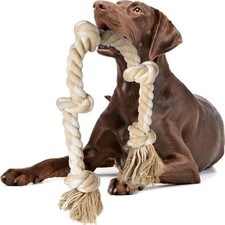 Hundespielzeug Seil Kauen Gro&szlig;er Hund robust Tauziehen Baumwolle