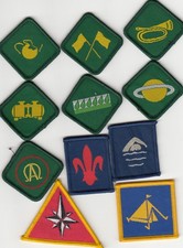 Boy Scout Badges Ext Proficiency CSI Ireland x 11