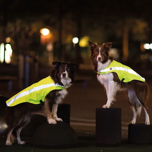 Trixie Chaleco de Seguridad para Perros Amarillo Neón - Chaleco de Advertencia para Perros - Reflectante - Imagen 4 de 29