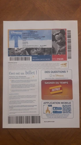 pass Euro Disney Disneyland billet en ligne 2016 format A4 TTB