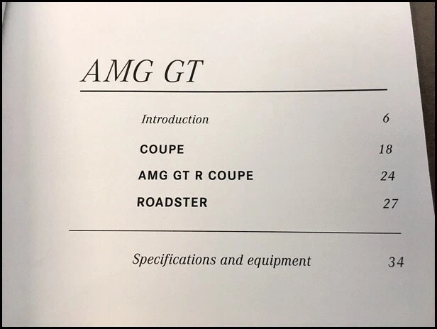 2018 Mercedes Benz AMG GT 42-page Car Sales Brochure Catalog - GTC R GTR Foto 3 de 4