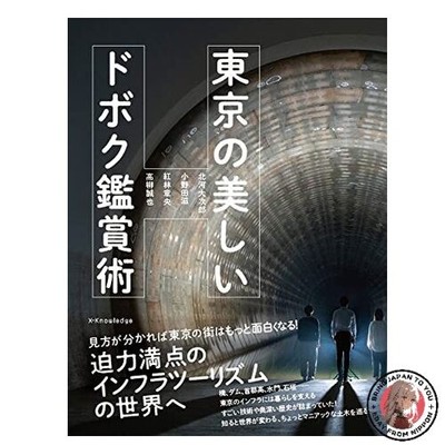 A Guide to Appreciating Beautiful Civil Engineering in Tokyo