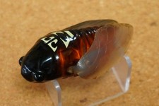 Megabass Grand Siglett     (B227N3