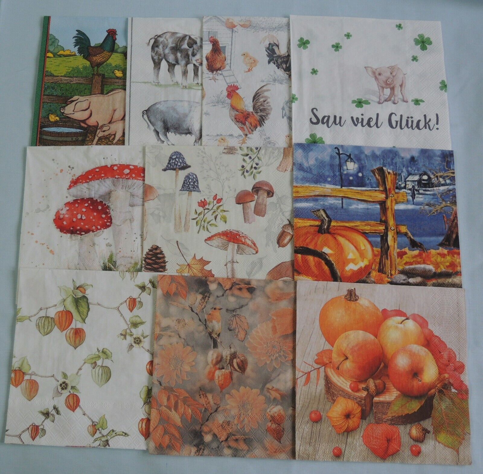 Bild 8 von 11