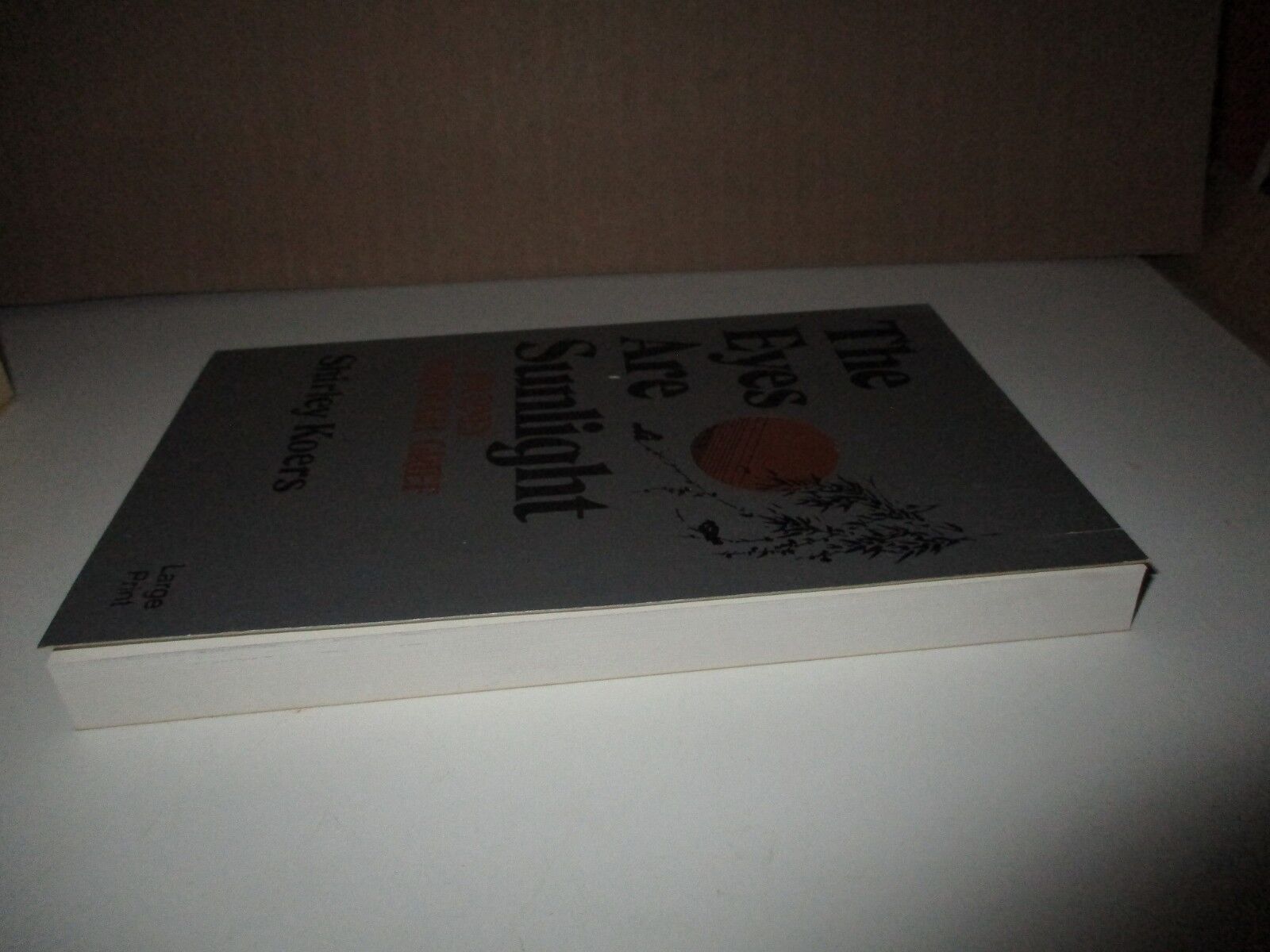 Foto 4 di 5