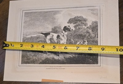 11'' The Pointer Antique Samuel Howitt Print Etching Frame Hunting Dog Scene 1812