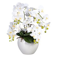 Kunstpflanze Phalaenopsis, Weiß, HöHe Ca. 56 Cm