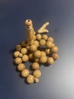 RARE ANTIQUE WHITE CORAL ISLAMIC PRAYER BEATS نوادر اليسر الأبيض — photo 2