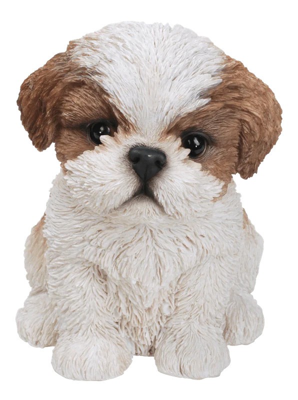 Vivid Arts Pet Pal Brown Shih-Tzu Puppy Realistic Resin Garden Animal Ornament