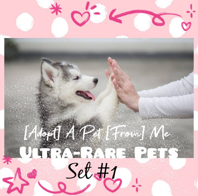   Adopt ( A Pet From Me)  Today!   Ultra-Rare   Set #  FR   F   R   NP