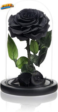 Christmas Birthday Gifts for Women Handmade Preserved Roses in Glass Dome