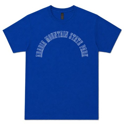 ARABIA MOUNTAIN STATE PARK T-SHIRT RETRO VARSITY STYLE USA DEKALB GEORGIA