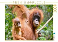Calvendo Puzzle Mama Orangutan With Baby | 1000 Pieces, Finished Size 25.2 × 18.