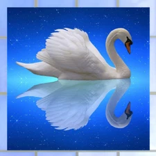 Swan WINDOW CLING Size 8" Square Repositionable Vinyl