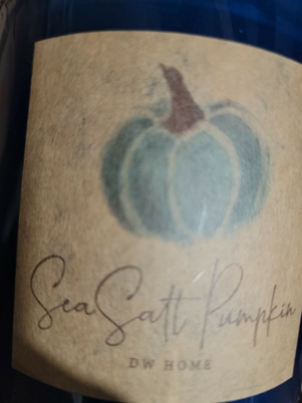 DW HOME Sea Salt Pumpkin Vanilla Molasses Scented 2 wick Candle 21.4