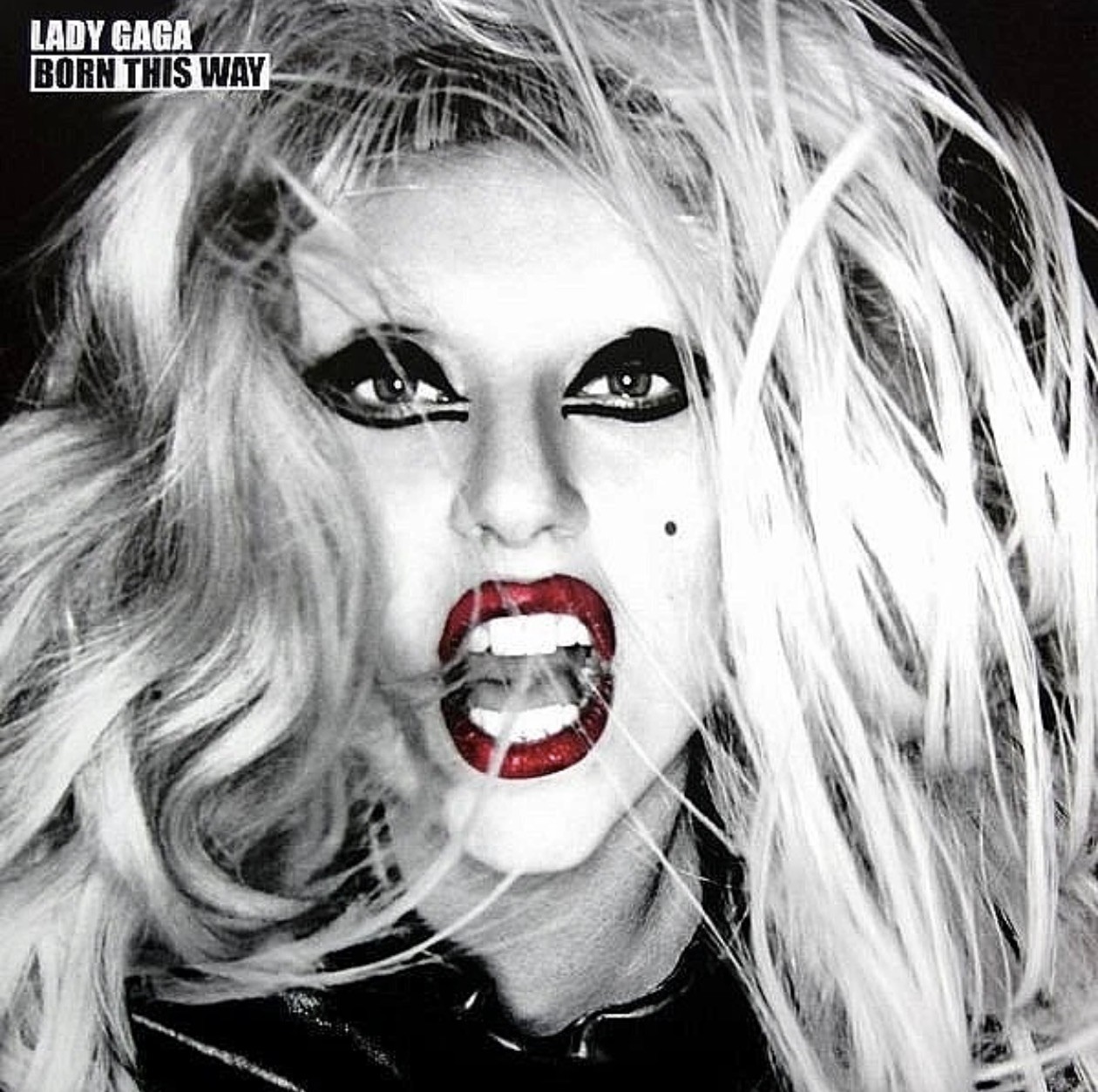 LADY GAGA "BORN THIS WAY" (2 LPS) [180g] PREMIUM QUALITY USED LP (NM/EX)