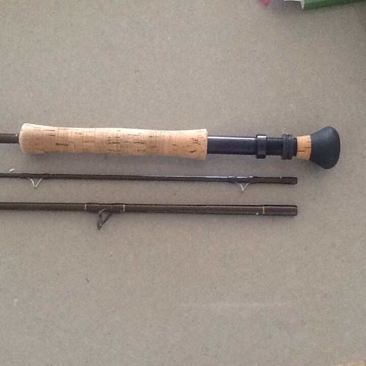 SAGE Fly Rod eBay