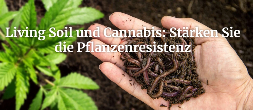 Bio Grow Starter Set für Erde mit PH Regulator und Mykorrhiza