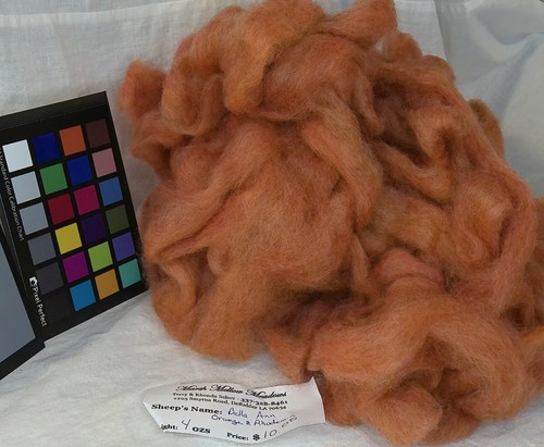 Romney Orange red wool roving spinning weaving felting fiber arts - Picture 3 of 3