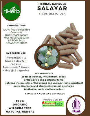 [idHerb] 100-800 Kapseln Salayar Mistel Feige Ficus Deltoidea WildCrafted