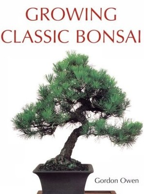Growing Classic Bonsai