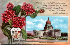Postcard 1908 State Capitol, Madison, Wisconsin, Trailing Arbutus State Flower