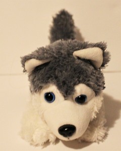 calplush husky
