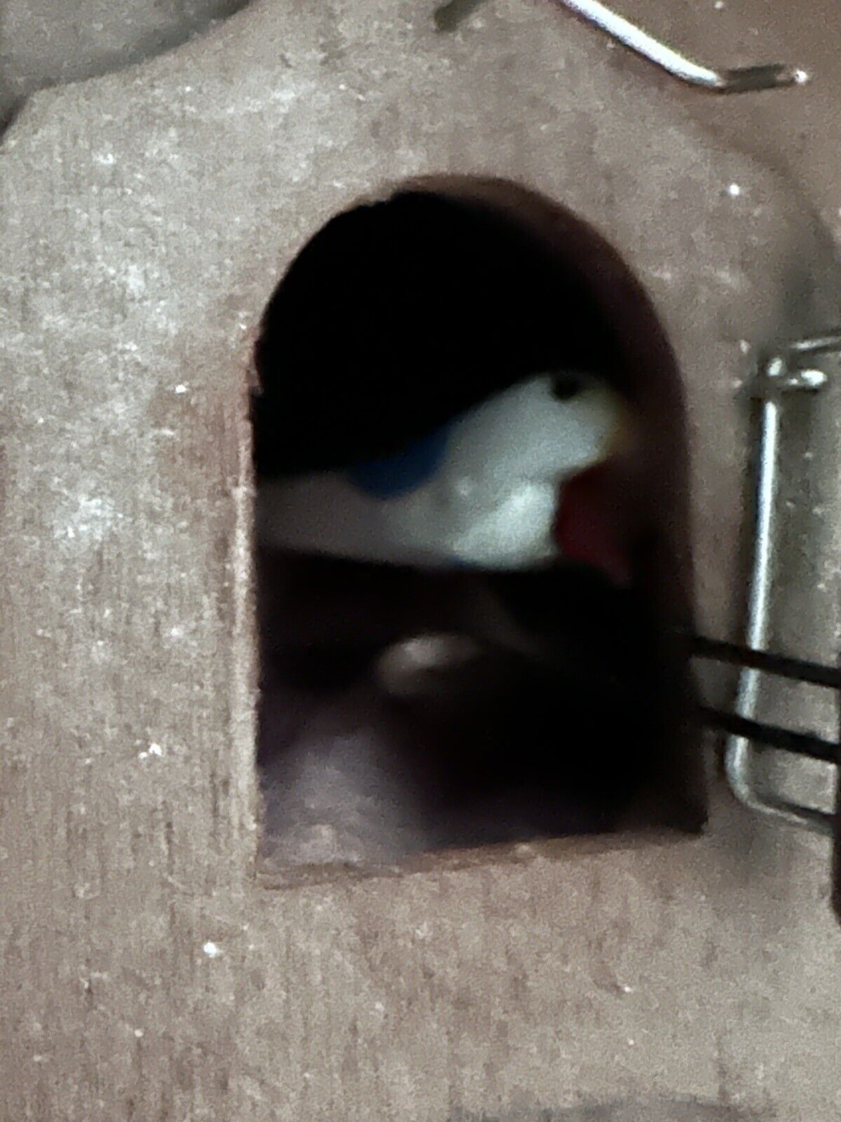Bild 7 von 24