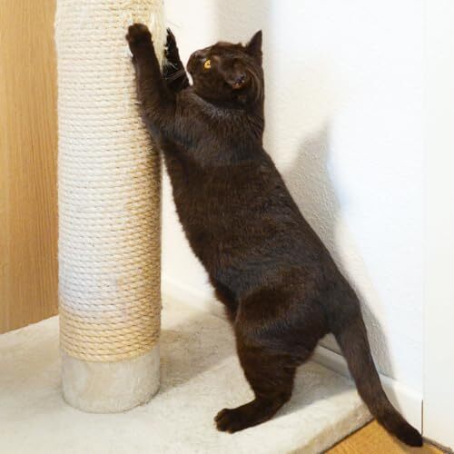 Cat Tree Tower Cat Scratching Post Tool Set Climbing Frame Sisal Hemp - Picture 1 of 8