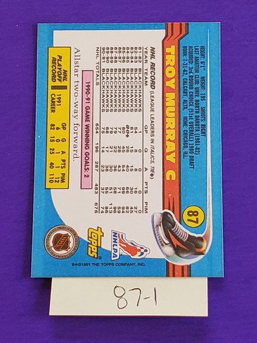 1991-92 TOPPS HOCKEY TRADING CARDS 1-199 YOU PICK FREE SHIPPING 50% OFF 2+ - Picture 141 of 339
