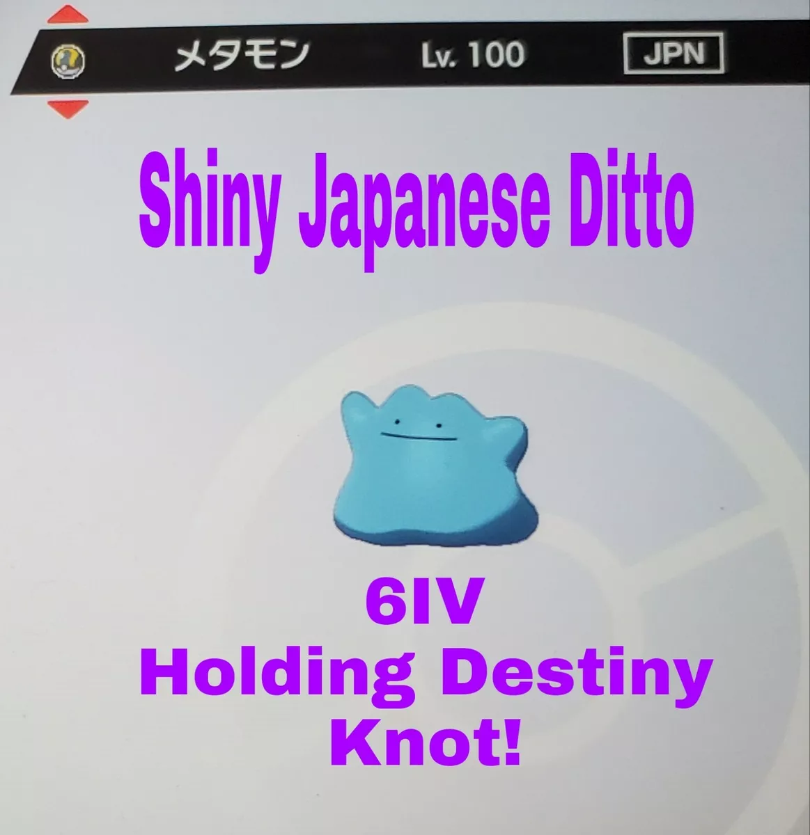 6IV Shiny Ditto Japanese or English Pokemon Scarlet and Violet