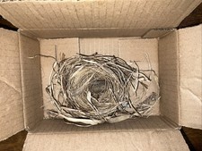 Natural Empty Nest - Fell During Hurricane - Rustic Woodland Nature