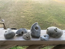 Large Lot Of Raw Hag Stones Metaphysical For Portals/protection