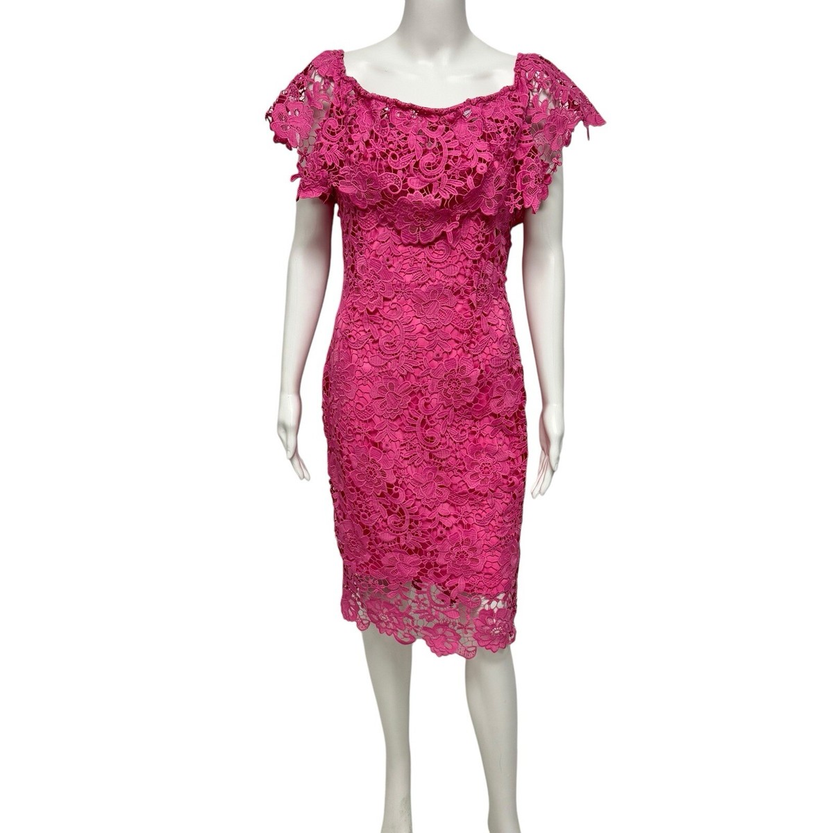 Paper Dolls London women's sheath Lace dress pink open shoulders size 8 |  eBay