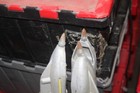 Foto 3 di 3