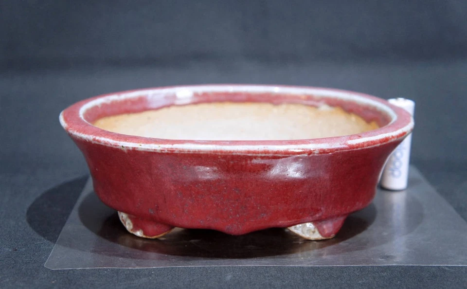 Olla Bonsai Kouyou Tokoname 6.9" Rojo Cinabrio Esmaltado Rectangular Sin Usar Japón Foto 4 de 4
