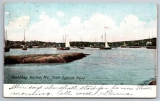 Boothbay Harbor ME From Spruce Point Sailboats UDB Postcard C1901 G13