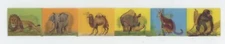 ANIMALI 6 Formaggino Mio Locatelli Italian Vari-Vue Flickers Strip - No Writing