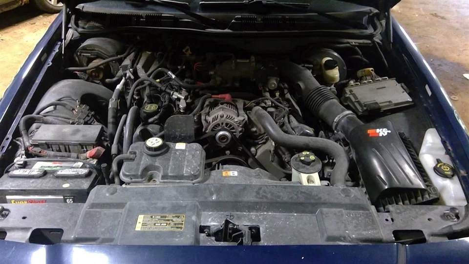 Passenger Right Fender Fits 03-11 CROWN VICTORIA 894241 Foto 4 de 4