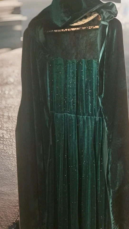 Vestido de Terciopelo Verde Dorado Plata Motas y Encaje Capa con Capucha Halloween Medieval 3XL Foto 4 de 4