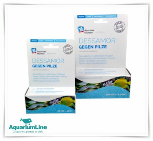 Come Eliminare La Muffa Bianca Dalla Vostra Casa - Foto 4