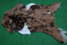 GOAT Western taxidermy Hide Rug Natural Pattern Fur Goat Hide Rode SA-2087