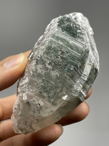 RARE 7.0oz DT Himalayan LEMURIAN Chlorite Quartz Cluster Samadhi Superb! L1 - Picture 10 of 12