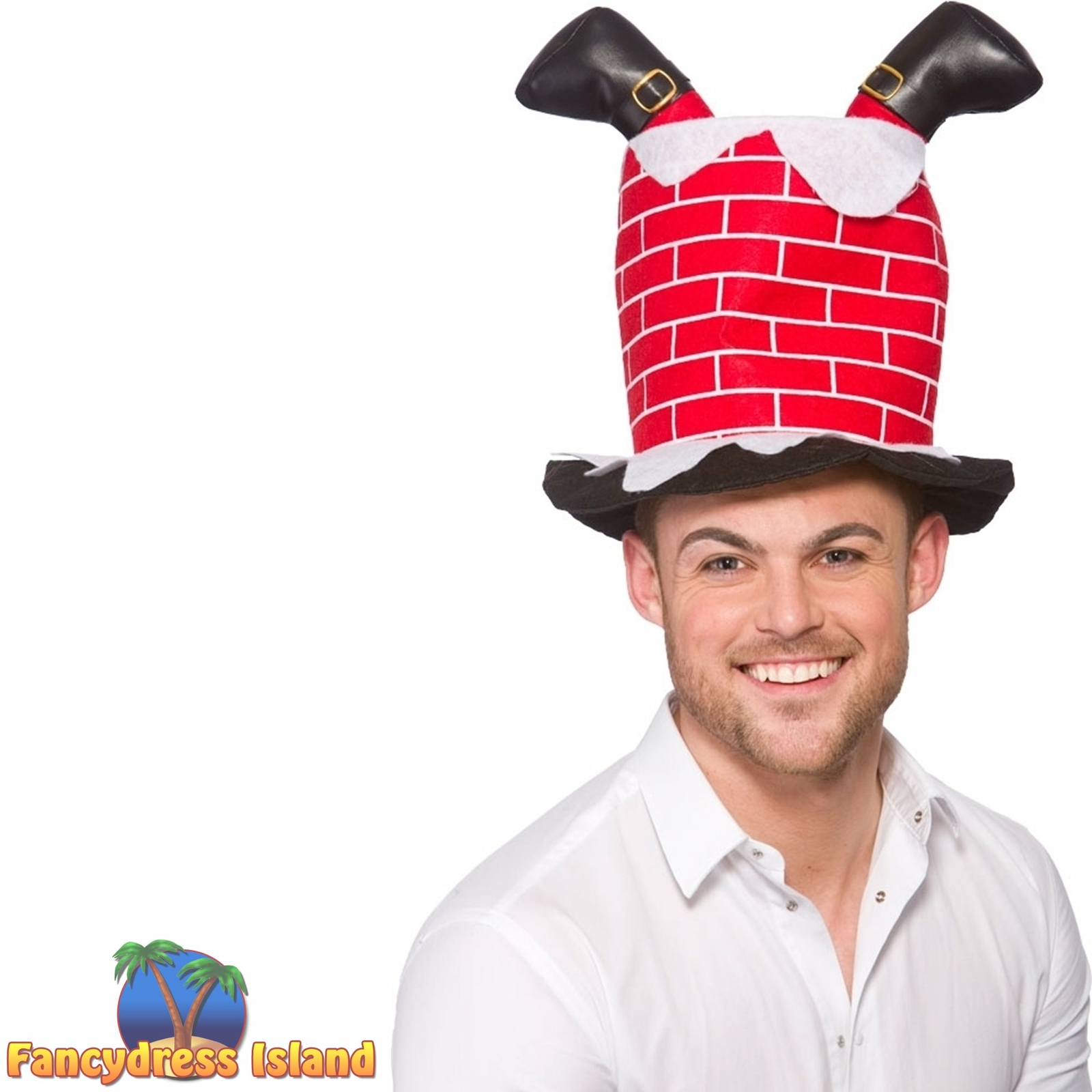 christmas dinner fancy dress