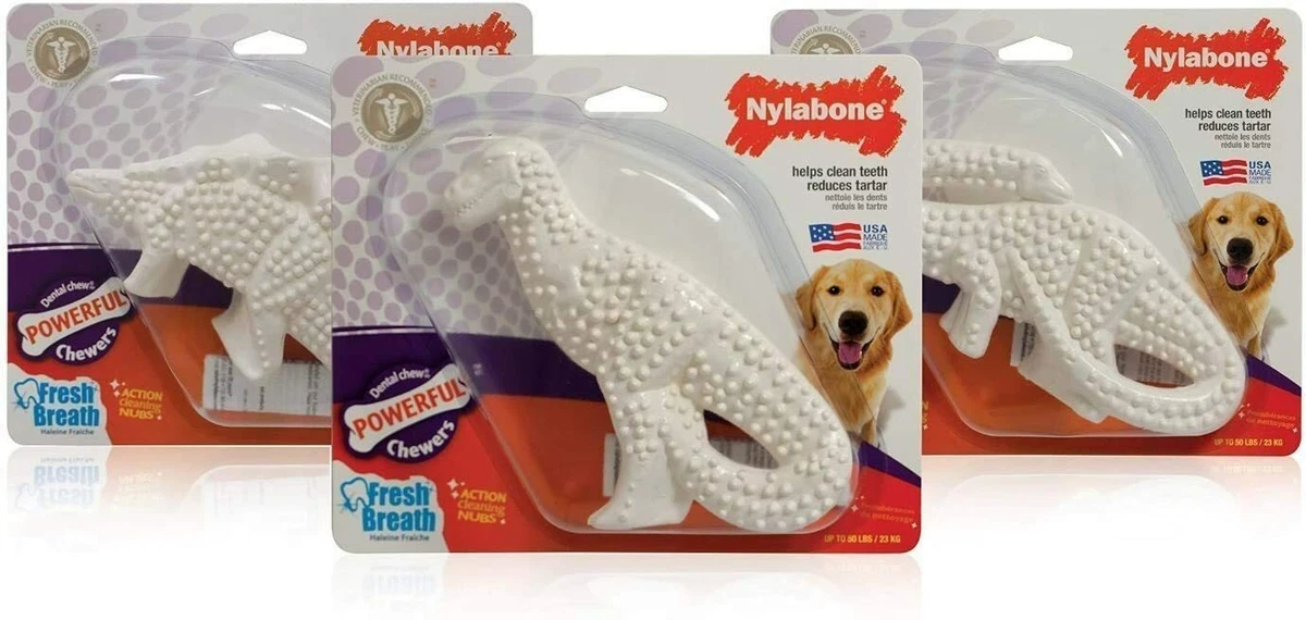 Nylabone durable cheap dental dinosaur