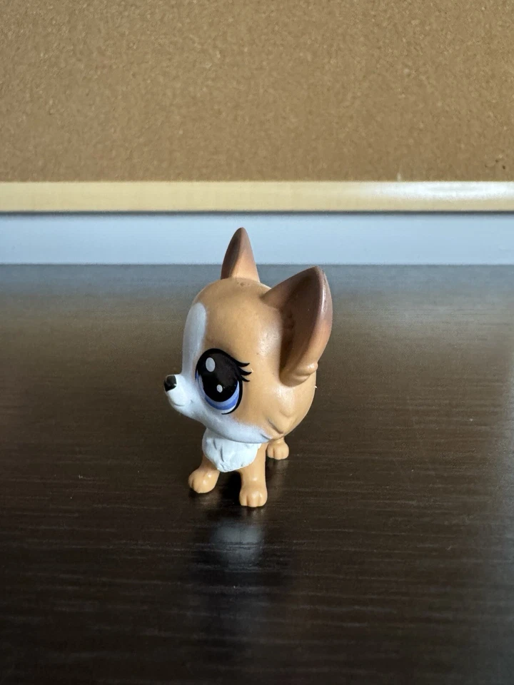 Littlest Pet Shop LPS 1-119 Corgi Flor de Cachorro Corgo Ojos Púrpura Foto 2 de 4
