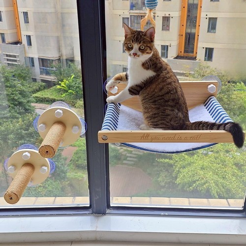 Multi-functional Cat Window Perch & Steps Set - Natural Wood & Stylish Design - Picture 3 of 8