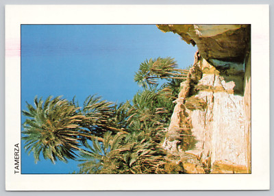 Postcard La Cascade Tamerza Tunsie