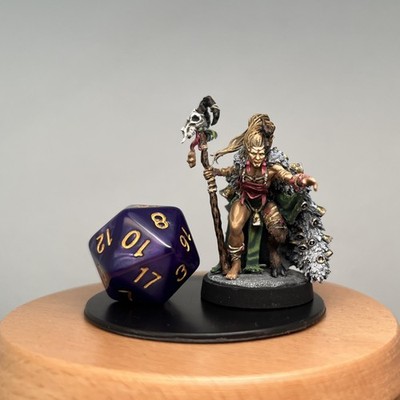 Bemalte Wilde Hexe, Hag - Mammut Fabrik Spiele. D&D, TTRPG, Pathfinder